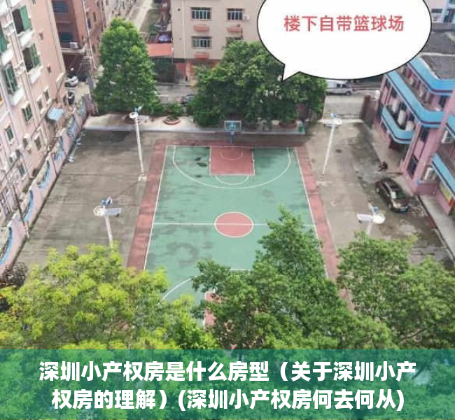深圳小产权房是什么房型（关于深圳小产权房的理解）(深圳小产权房何去何从)