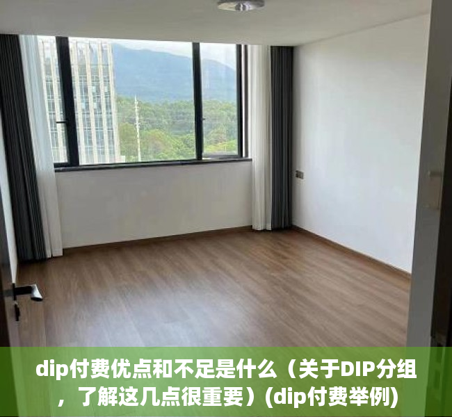 dip付费优点和不足是什么（关于DIP分组，了解这几点很重要）(dip付费举例)