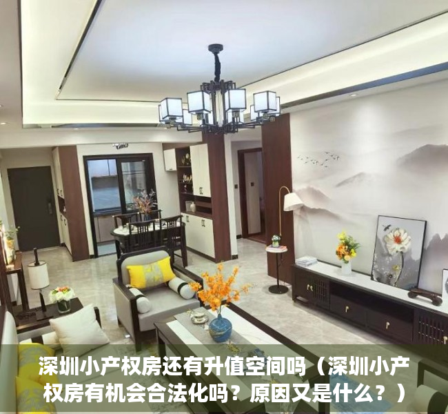 深圳小产权房还有升值空间吗（深圳小产权房有机会合法化吗？原因又是什么？）