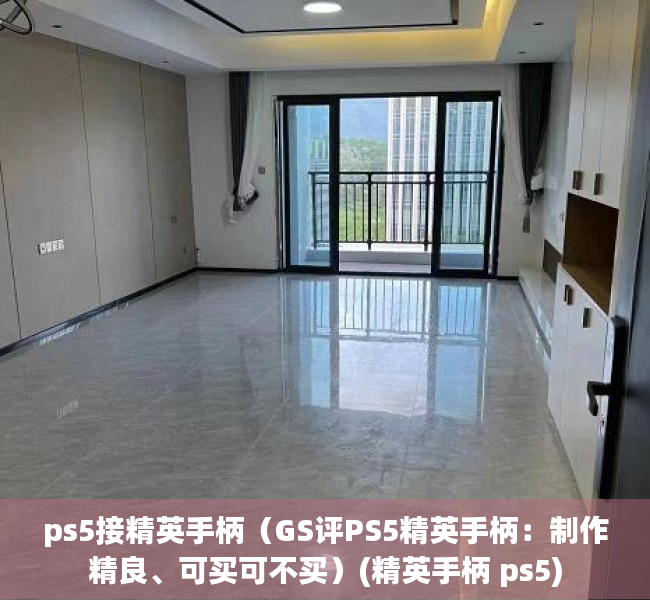 ps5接精英手柄（GS评PS5精英手柄：制作精良、可买可不买）(精英手柄 ps5)