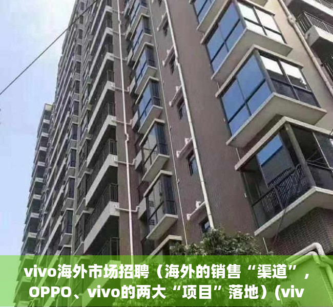 vivo海外市场招聘（海外的销售“渠道”，OPPO、vivo的两大“项目”落地）(vivo海外市场主要是哪里)