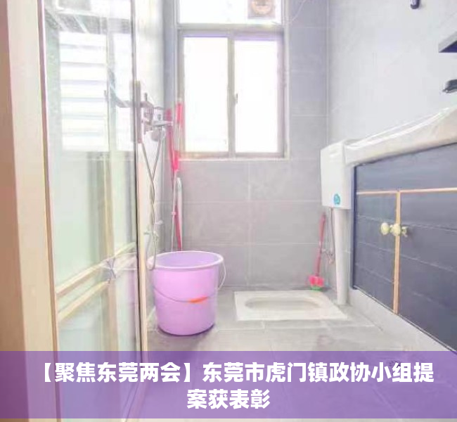【聚焦东莞两会】东莞市虎门镇政协小组提案获表彰
