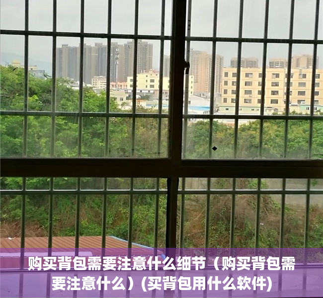 购买背包需要注意什么细节（购买背包需要注意什么）(买背包用什么软件)
