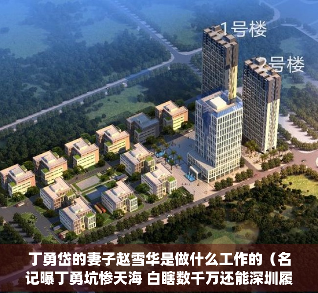 丁勇岱的妻子赵雪华是做什么工作的（名记曝丁勇坑惨天海 白瞎数千万还能深圳履新 这就是包容之城？）