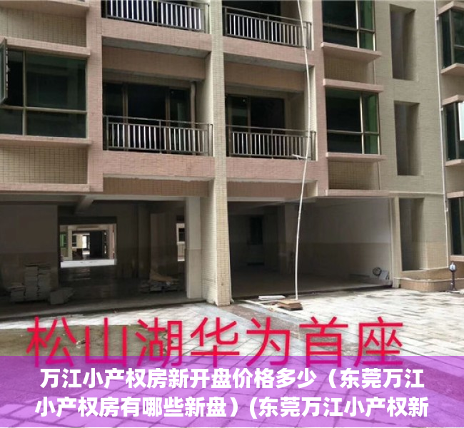 万江小产权房新开盘价格多少（东莞万江小产权房有哪些新盘）(东莞万江小产权新楼盘)