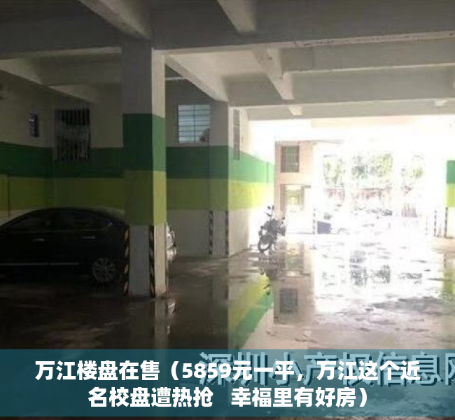 万江楼盘在售（5859元一平，万江这个近名校盘遭热抢   幸福里有好房）