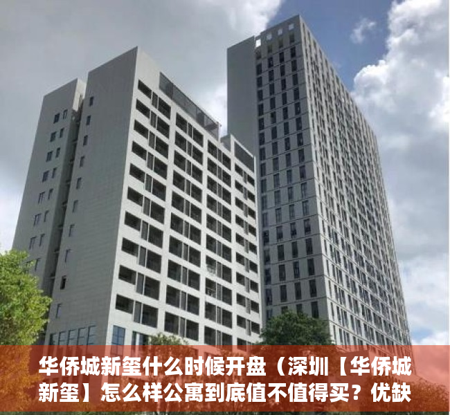 华侨城新玺什么时候开盘（深圳【华侨城新玺】怎么样公寓到底值不值得买？优缺点分析！）