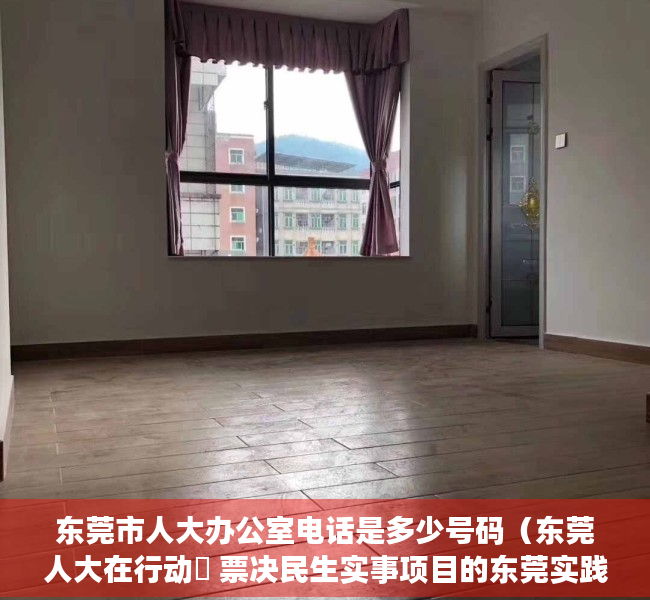 东莞市人大办公室电话是多少号码（东莞人大在行动㊺ 票决民生实事项目的东莞实践）