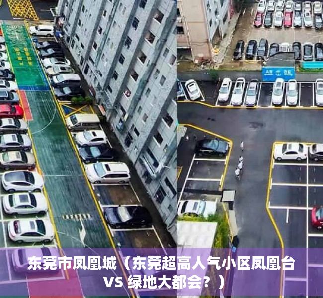 东莞市凤凰城（东莞超高人气小区凤凰台 VS 绿地大都会？）