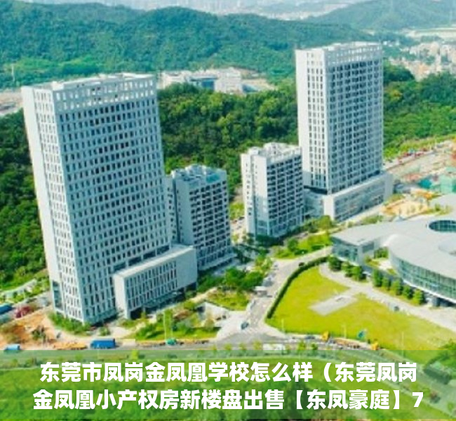 东莞市凤岗金凤凰学校怎么样（东莞凤岗金凤凰小产权房新楼盘出售【东凤豪庭】70年产权合作建房，证件齐全，律师见证 安全保障 ，十分钟到龙岗 五分钟上高速！）