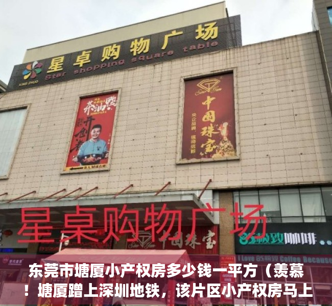 东莞市塘厦小产权房多少钱一平方（羡慕！塘厦蹭上深圳地铁，该片区小产权房马上要起飞了！）