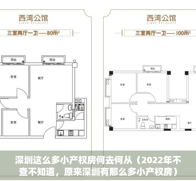 深圳这么多小产权房何去何从（2022年不查不知道，原来深圳有那么多小产权房）