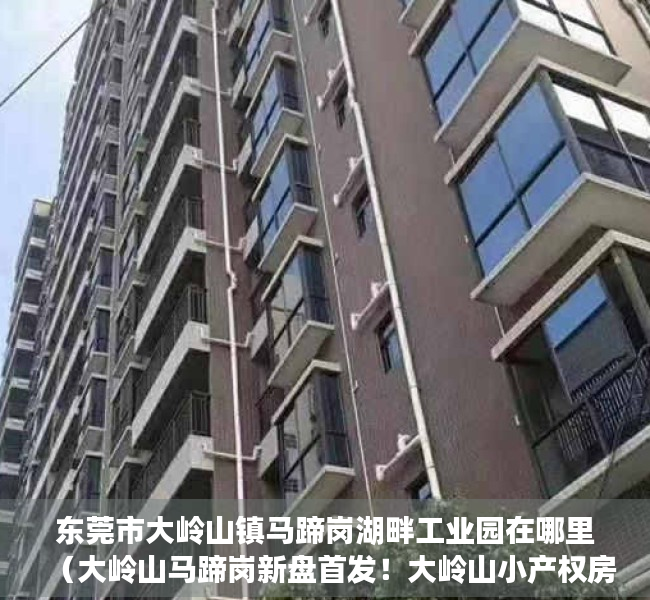 东莞市大岭山镇马蹄岗湖畔工业园在哪里（大岭山马蹄岗新盘首发！大岭山小产权房《松湖悦城》出售）