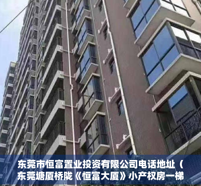 东莞市恒富置业投资有限公司电话地址（东莞塘厦桥陇《恒富大厦》小产权房一梯四户  四面采光4200元起）