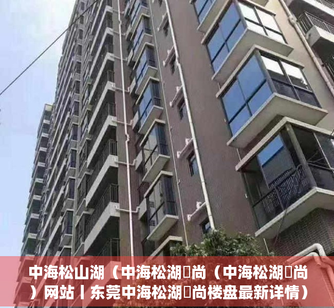 中海松山湖（中海松湖璟尚（中海松湖璟尚）网站丨东莞中海松湖璟尚楼盘最新详情）