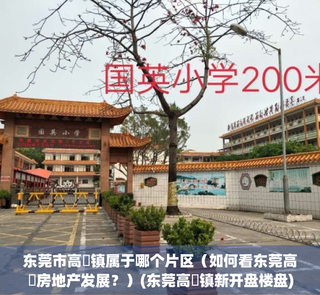 东莞市高埗镇属于哪个片区（如何看东莞高埗房地产发展？）(东莞高埗镇新开盘楼盘)