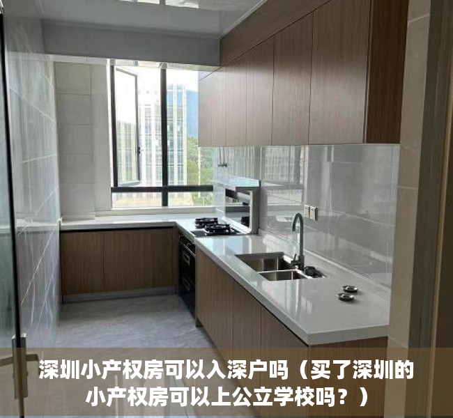 深圳小产权房可以入深户吗（买了深圳的小产权房可以上公立学校吗？）