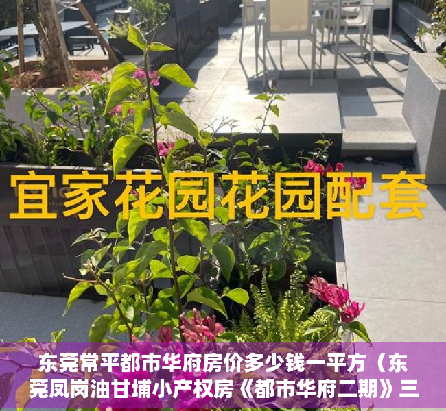 东莞常平都市华府房价多少钱一平方（东莞凤岗油甘埔小产权房《都市华府二期》三栋小区带停车位 首付15万起）