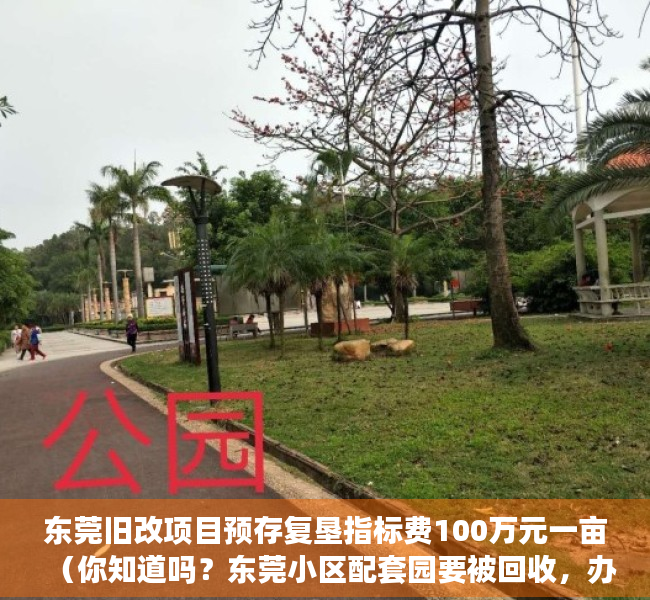 东莞旧改项目预存复垦指标费100万元一亩（你知道吗？东莞小区配套园要被回收，办成公办或非营利性幼儿园）