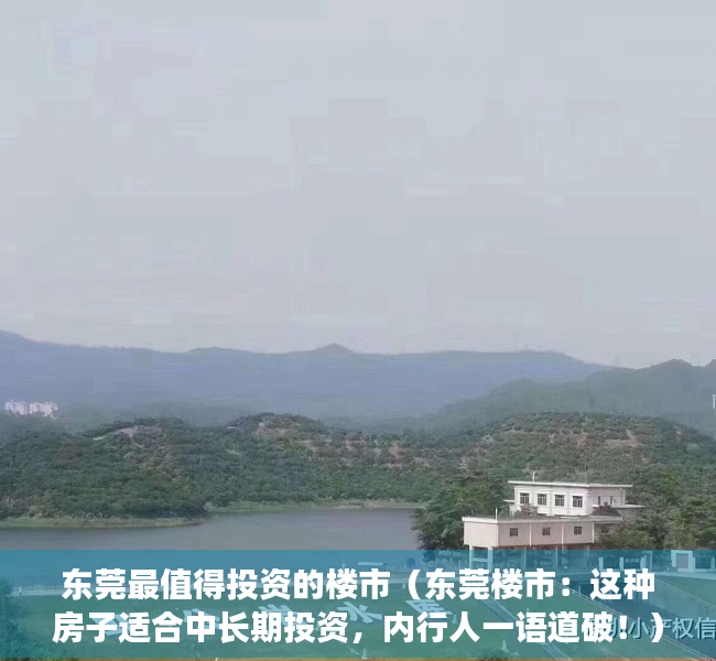 东莞最值得投资的楼市（东莞楼市：这种房子适合中长期投资，内行人一语道破！）