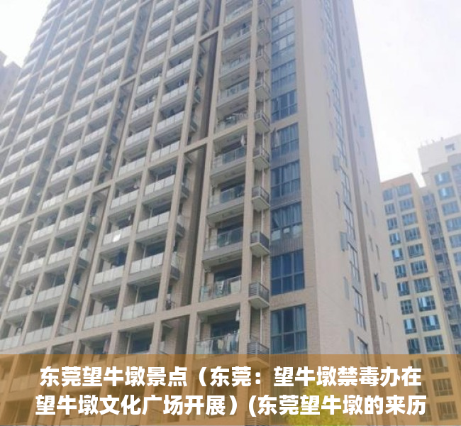 东莞望牛墩景点（东莞：望牛墩禁毒办在望牛墩文化广场开展）(东莞望牛墩的来历)