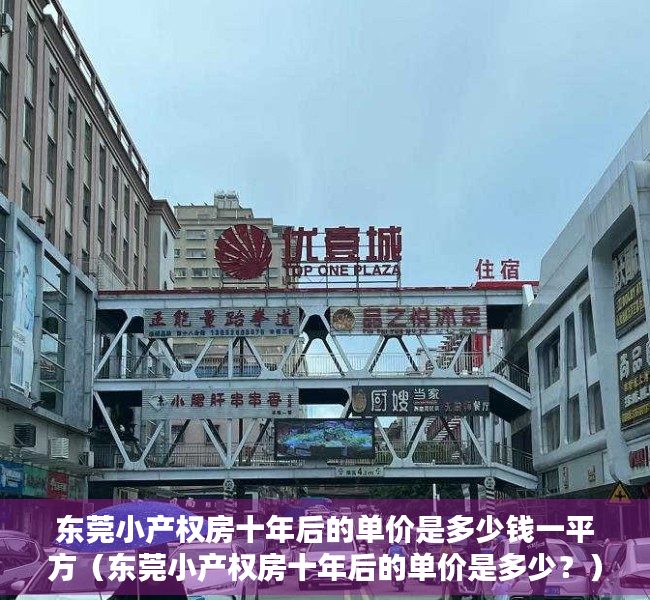 东莞小产权房十年后的单价是多少钱一平方（东莞小产权房十年后的单价是多少？）