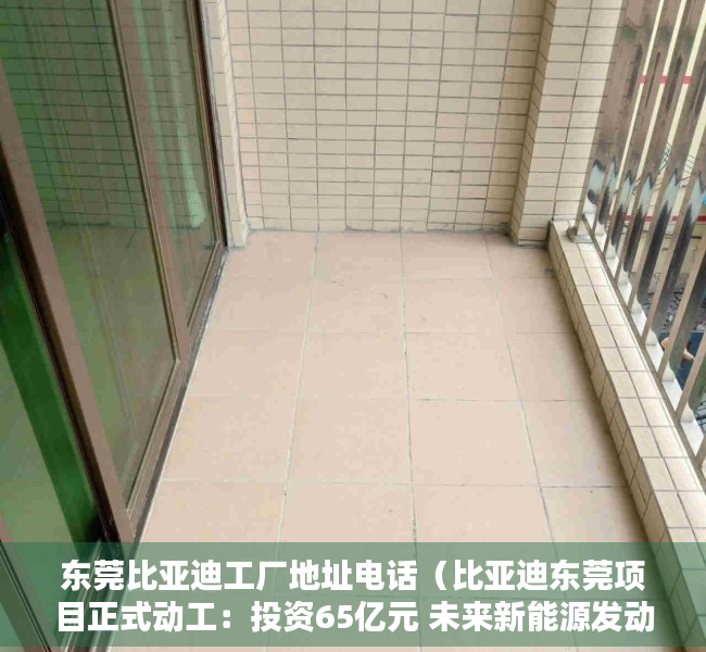 东莞比亚迪工厂地址电话（比亚迪东莞项目正式动工：投资65亿元 未来新能源发动机将是东莞造）