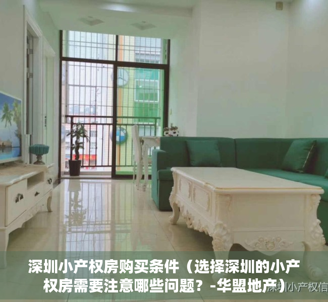 深圳小产权房购买条件（选择深圳的小产权房需要注意哪些问题？-华盟地产）