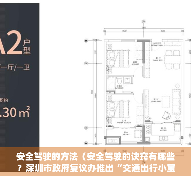 安全驾驶的方法（安全驾驶的诀窍有哪些？深圳市政府复议办推出“交通出行小宝典”）