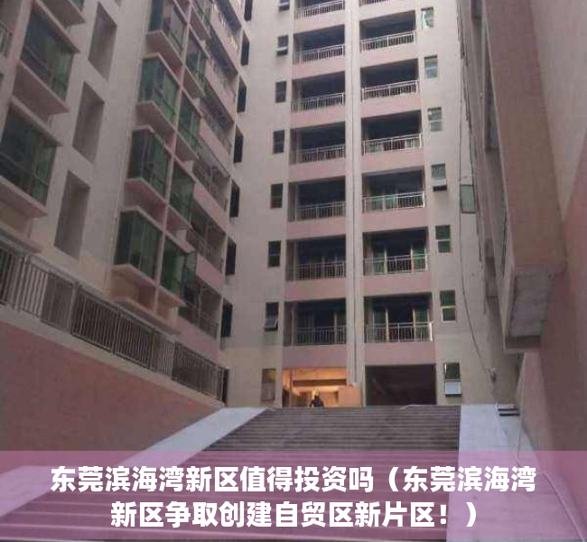 东莞滨海湾新区值得投资吗（东莞滨海湾新区争取创建自贸区新片区！）