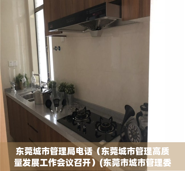 东莞城市管理局电话（东莞城市管理高质量发展工作会议召开）(东莞市城市管理委员会办公室电话)