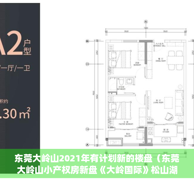 东莞大岭山2021年有计划新的楼盘（东莞大岭山小产权房新盘《大岭国际》松山湖万象汇旁，4栋封闭式花园，门口双地铁口，华为基地500米，小产权中的王者）