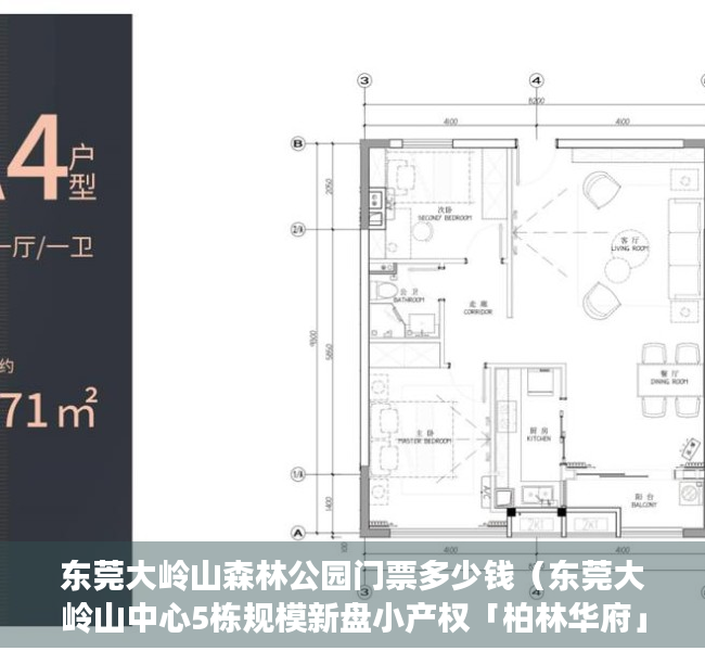 东莞大岭山森林公园门票多少钱（东莞大岭山中心5栋规模新盘小产权「柏林华府」 带停车场 双地铁口楼盘 无条件分期 一房两房三房带装修村委统建楼集资房投资出租笋盘）