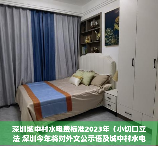 深圳城中村水电费标准2023年（小切口立法 深圳今年将对外文公示语及城中村水电气价格展开立法）