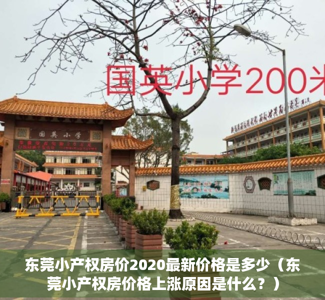 东莞小产权房价2020最新价格是多少（东莞小产权房价格上涨原因是什么？）