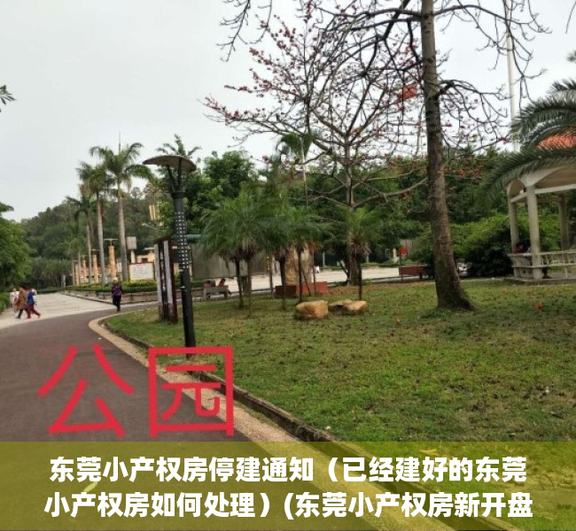 东莞小产权房停建通知（已经建好的东莞小产权房如何处理）(东莞小产权房新开盘)