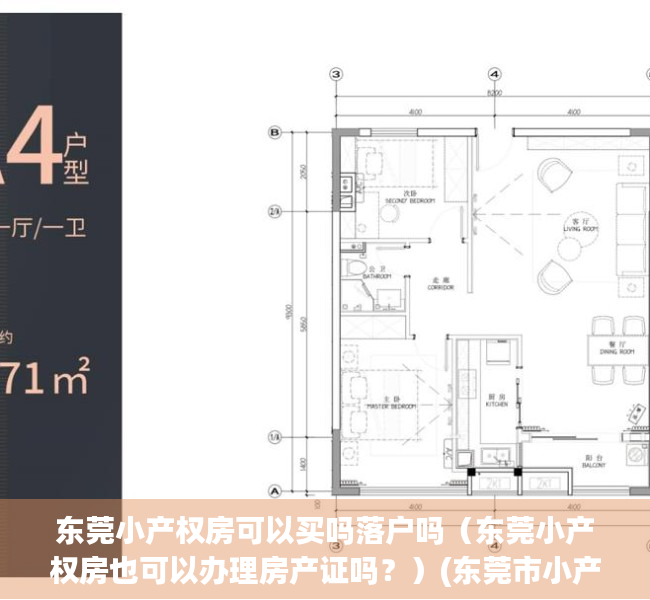 东莞小产权房可以买吗落户吗（东莞小产权房也可以办理房产证吗？）(东莞市小产权房可以购买吗)