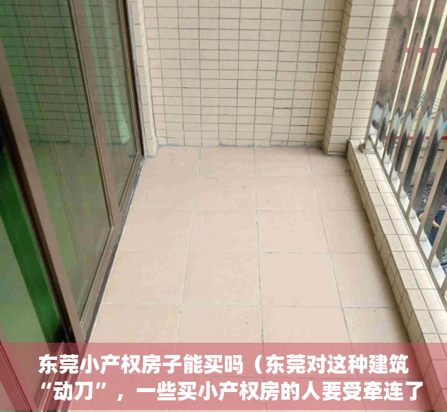 东莞小产权房子能买吗（东莞对这种建筑“动刀”，一些买小产权房的人要受牵连了）