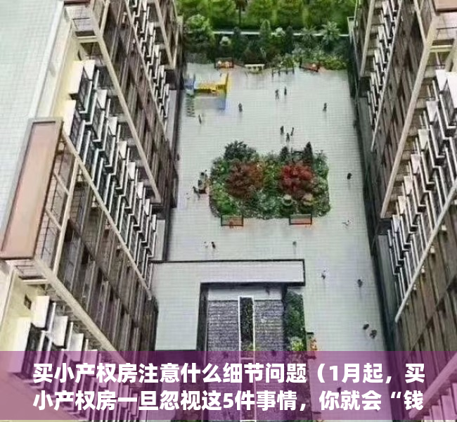 买小产权房注意什么细节问题（1月起，买小产权房一旦忽视这5件事情，你就会“钱房两失”）