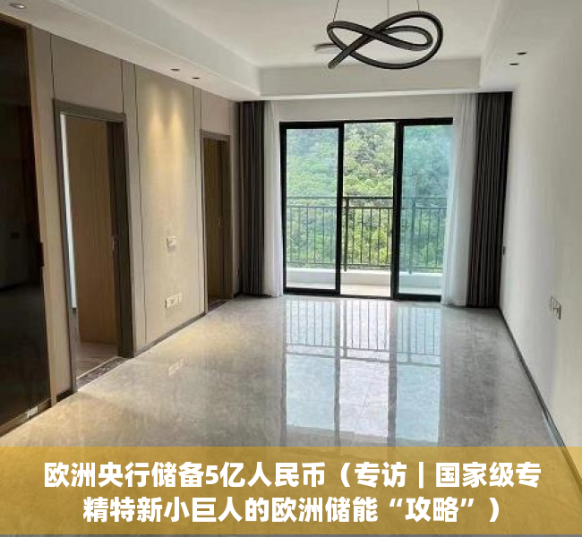 欧洲央行储备5亿人民币（专访｜国家级专精特新小巨人的欧洲储能“攻略”）