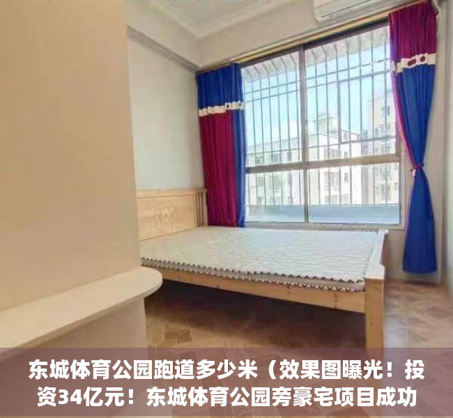东城体育公园跑道多少米（效果图曝光！投资34亿元！东城体育公园旁豪宅项目成功备案了！）