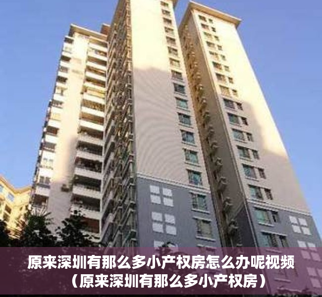 原来深圳有那么多小产权房怎么办呢视频（原来深圳有那么多小产权房）