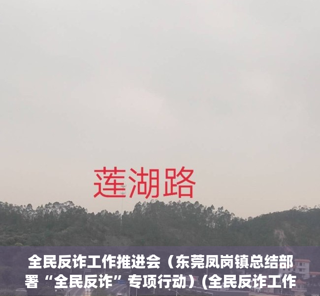 全民反诈工作推进会（东莞凤岗镇总结部署“全民反诈”专项行动）(全民反诈工作方案)