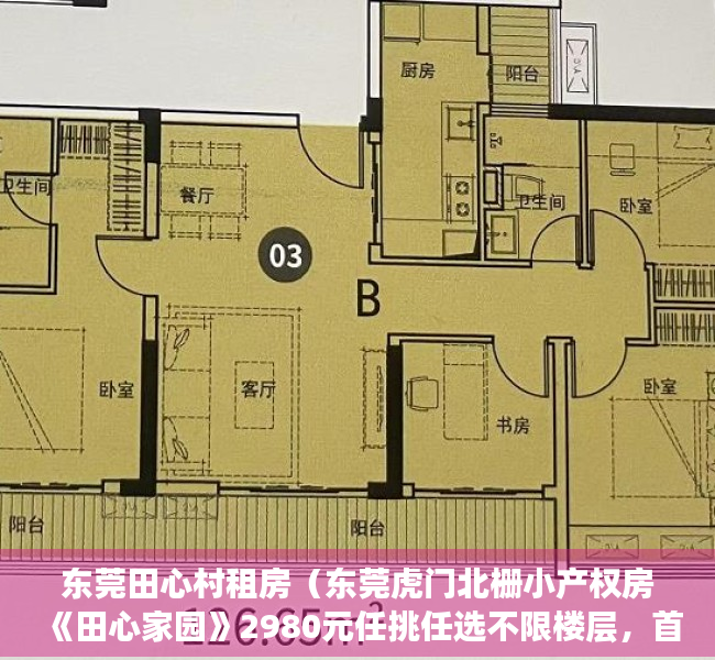 东莞田心村租房（东莞虎门北栅小产权房《田心家园》2980元任挑任选不限楼层，首付一半，无条件分期 房产政策2022可以买卖过户更名 集资房统建楼）