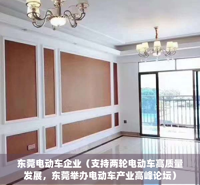 东莞电动车企业（支持两轮电动车高质量发展，东莞举办电动车产业高峰论坛）