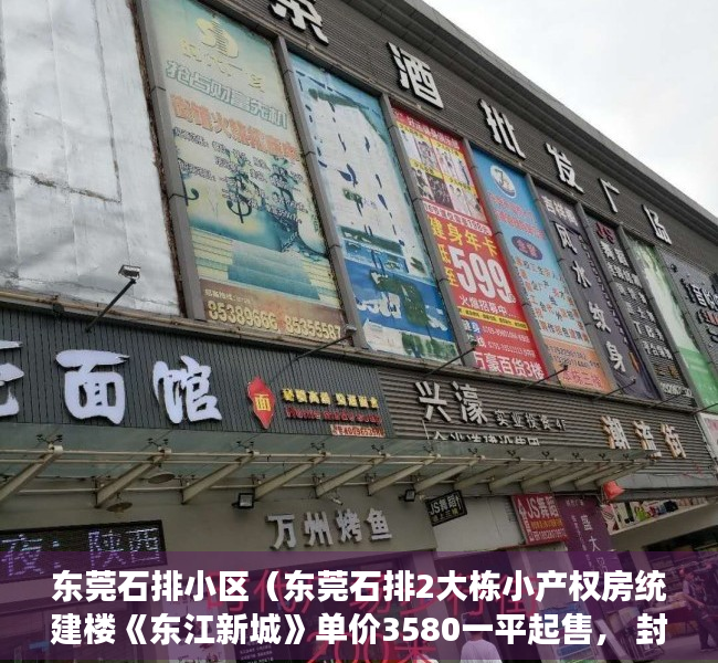 东莞石排小区（东莞石排2大栋小产权房统建楼《东江新城》单价3580一平起售， 封闭式小区房，户型方正，配套齐全，一线江景房 马路第一排 通燃气）