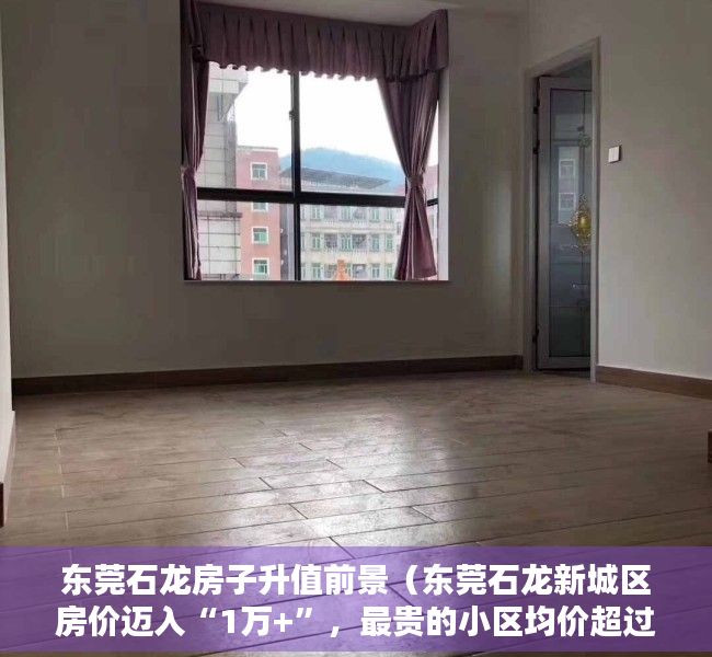 东莞石龙房子升值前景（东莞石龙新城区房价迈入“1万+”，最贵的小区均价超过2万平）