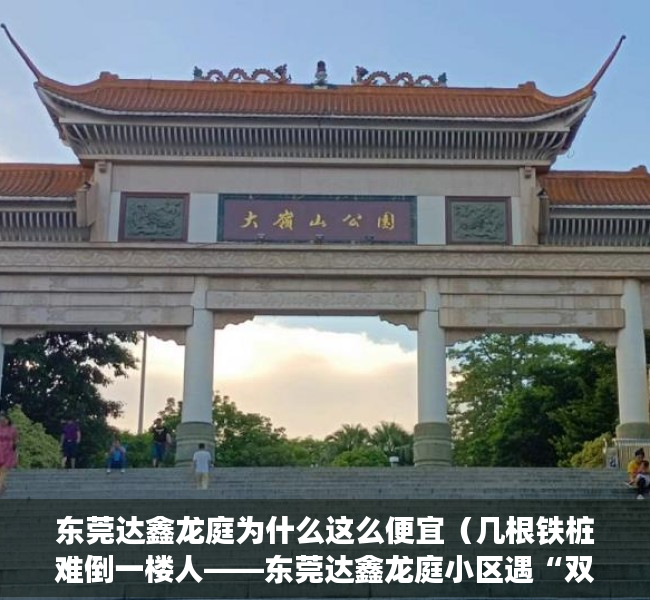 东莞达鑫龙庭为什么这么便宜（几根铁桩难倒一楼人——东莞达鑫龙庭小区遇“双重停车费”问题）