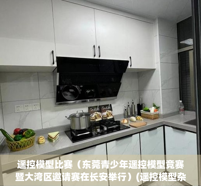 遥控模型比赛（东莞青少年遥控模型竞赛暨大湾区邀请赛在长安举行）(遥控模型杂志)