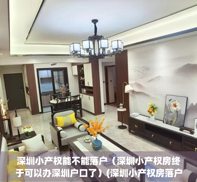 深圳小产权能不能落户（深圳小产权房终于可以办深圳户口了）(深圳小产权房落户细则与注意事项)